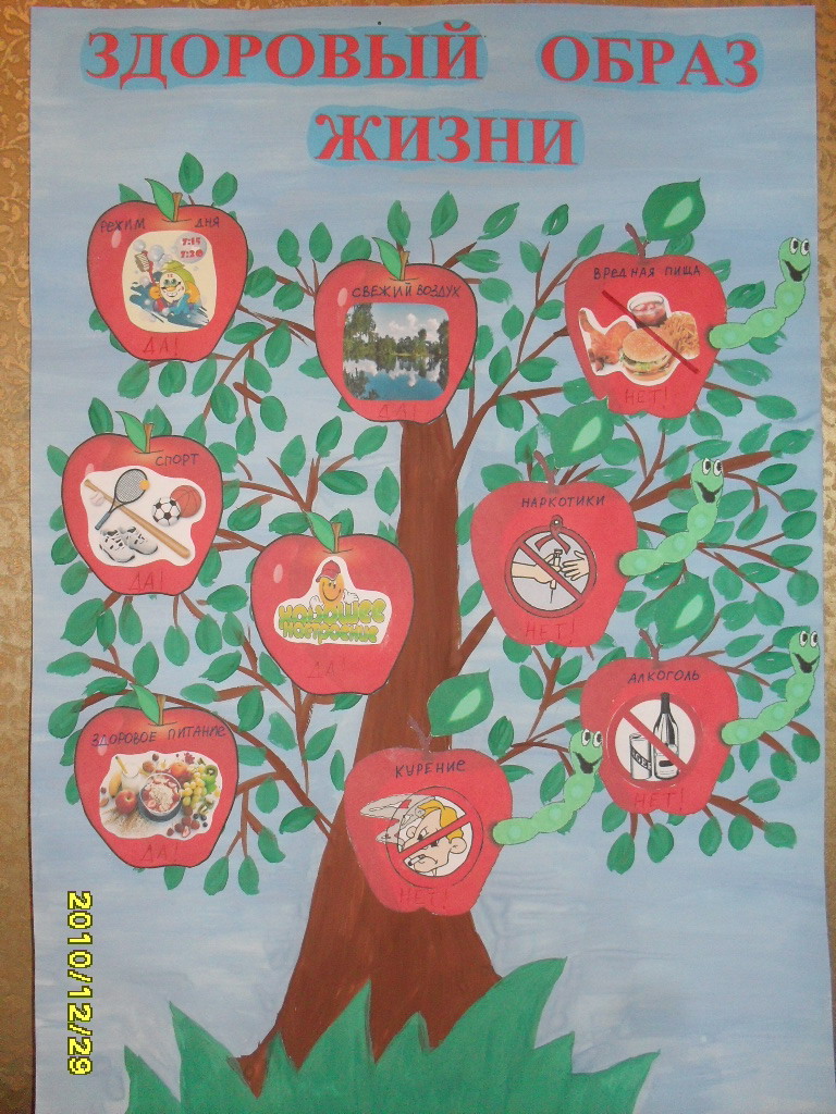 Дерево здоровья в детском саду. Плакат здоровый образ жизни. Рисунок на тему здоровый образ. Полатак здоровый образ жизни. Дерево здоровья для детей.